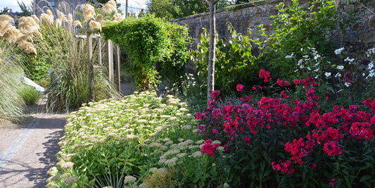 Creating your own sensory garden